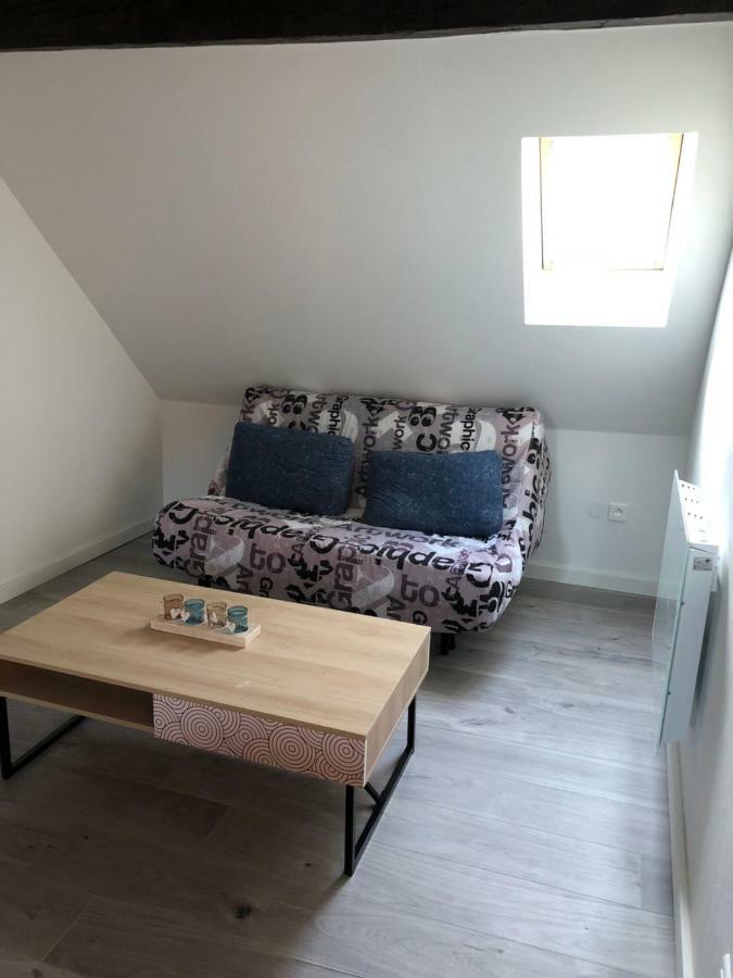 Ferienwohnung Duplex Hyper Centre Colmar Exterior foto