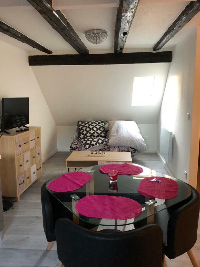 Ferienwohnung Duplex Hyper Centre Colmar Exterior foto